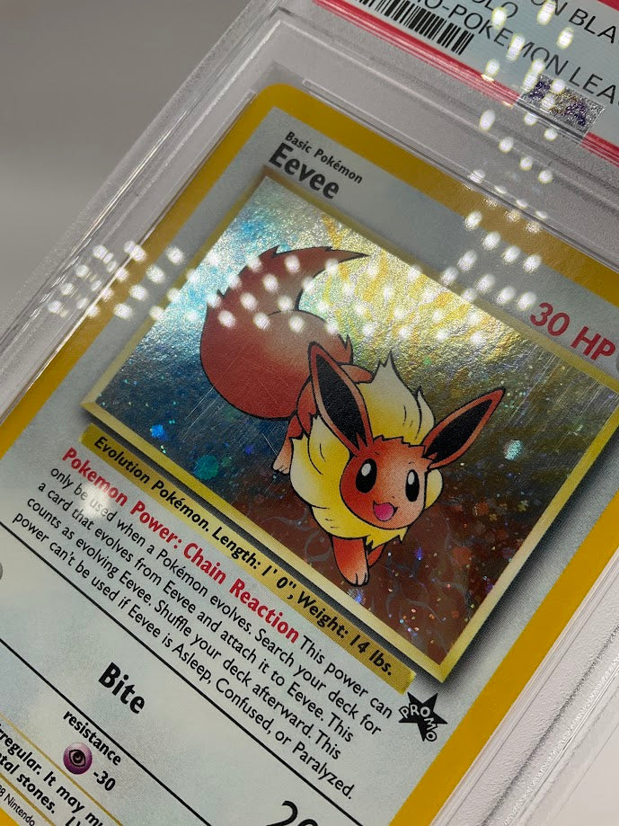 Eevee Pokemon League Black Star Promo Holo #11 PSA 8、Collector Store LLC Gaming、kayou