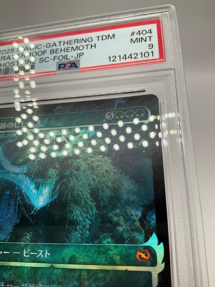 Craterhoof Behemoth Magic the Gathering Ghostfire SC Foil Japanese #404 PSA 9、Collector Store LLC Gaming、kayou