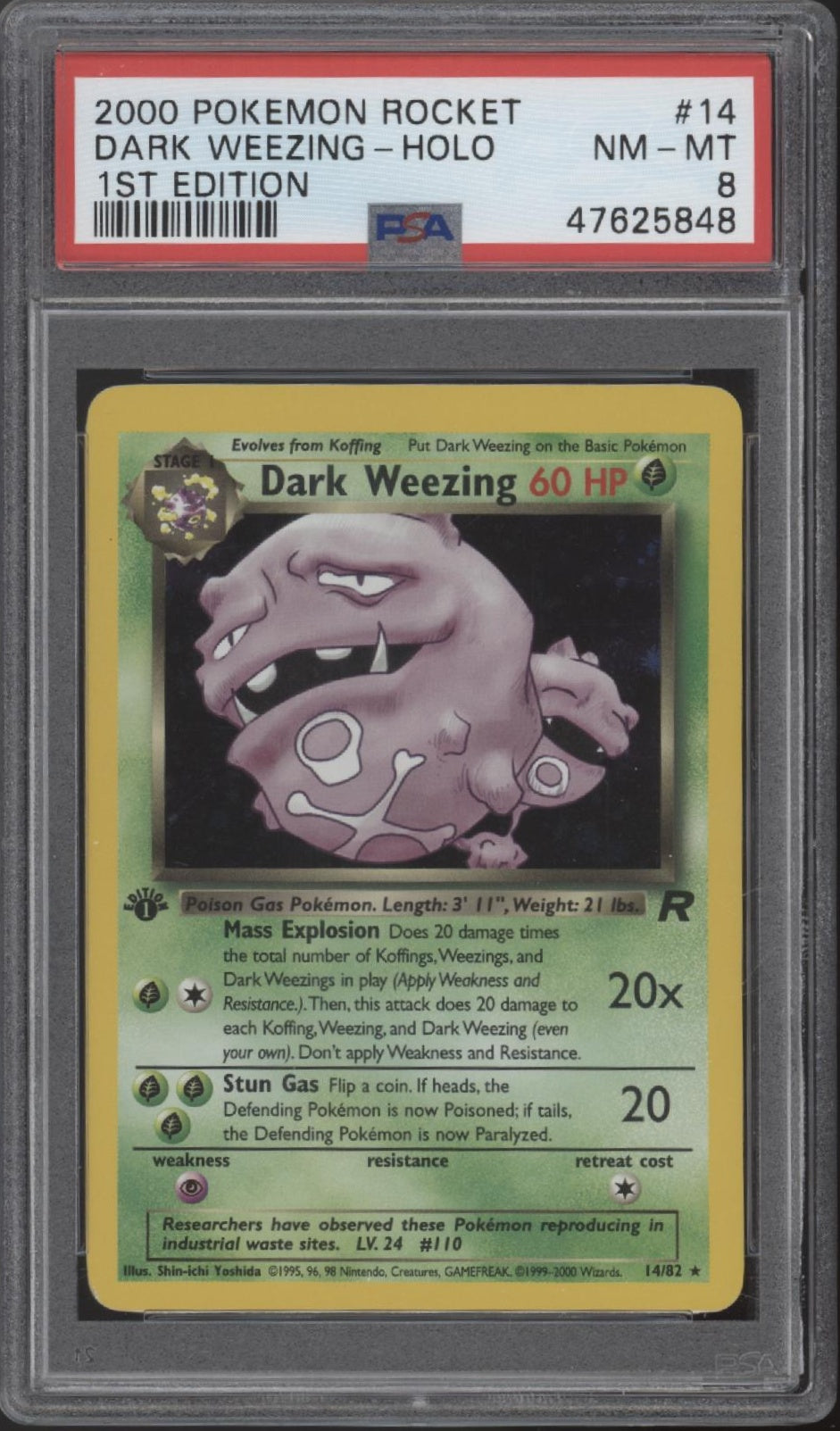Dark Weezing Pokemon Team Rocket Holo 1st Edition #14 PSA 8、Collector Store LLC Gaming、kayou