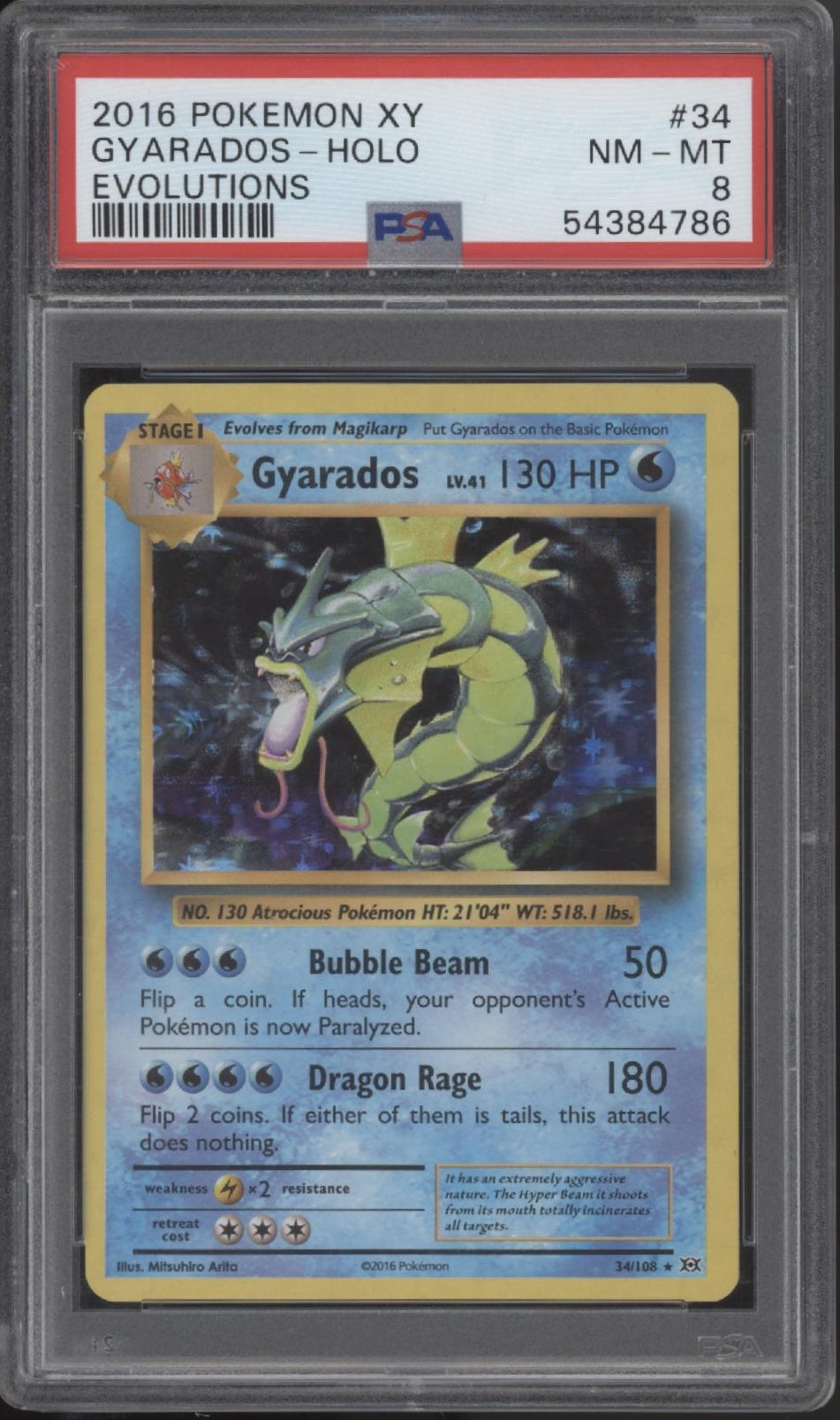 Gyarados Pokemon XY Evolutions Holo #34 PSA 8、Collector Store LLC Gaming、kayou