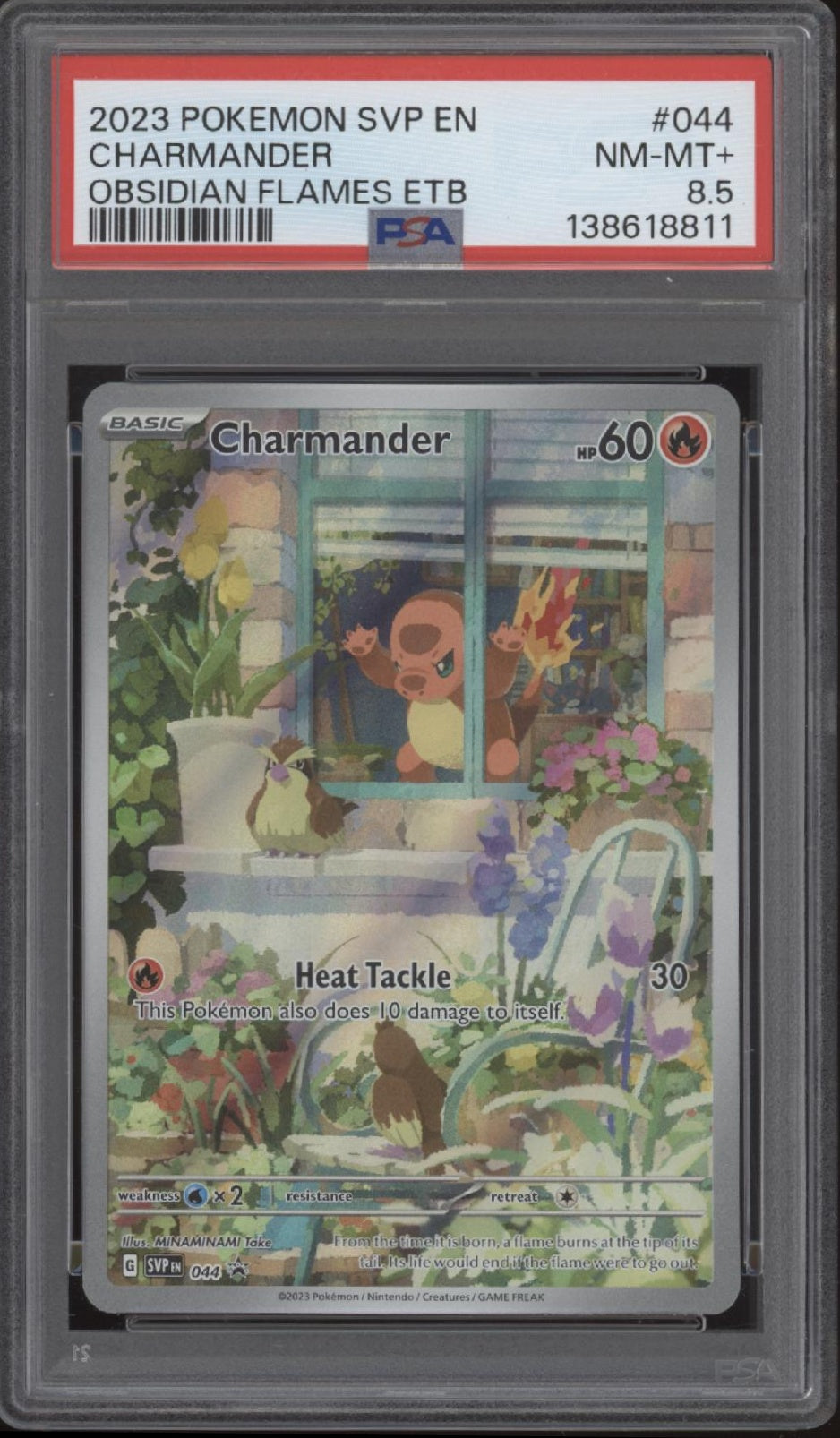 Charmander Pokemon Obsidian Flames Elite Trainer Box #044 PSA 8.5、Collector Store LLC Gaming、kayou