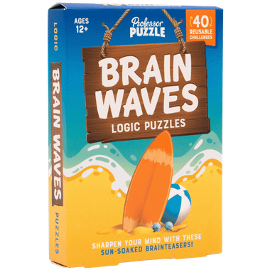 Brain Waves、Professor Puzzle、kayou