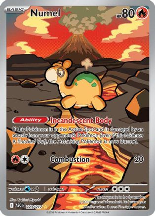 Numel - 223/217 223 - ME Ascended Heroes Holofoil、The Pokémon Company、kayou