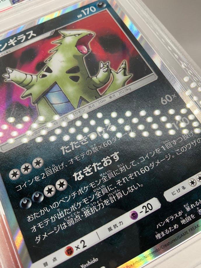 Tyranitar Pokemon SEP Champion Road Holo Japanese #038 PSA 9、Collector Store LLC Gaming、kayou