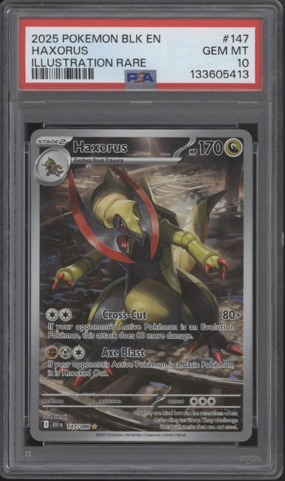 Haxorus Pokemon Black Bolt Illustration Rare #147 PSA 10、Collector Store LLC Gaming、kayou