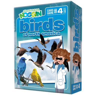 Professor Noggin: Birds of North America、Outset、kayou