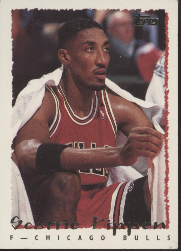 Scottie Pippen Basketball Lot of 10、Not specified、kayou