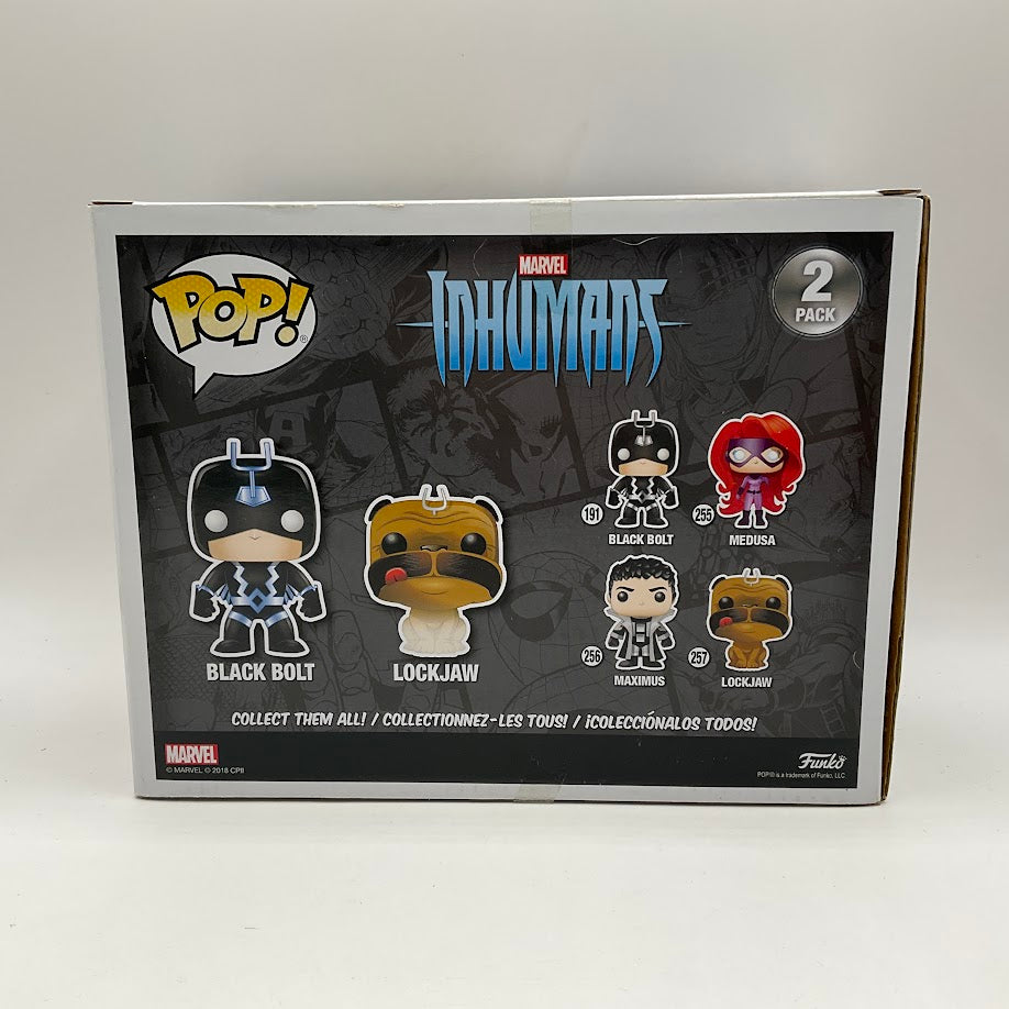 Black Bolt & Lockjaw Funko Pop! Marvel 2 Pack GITD PX Comic Con、Funko、kayou