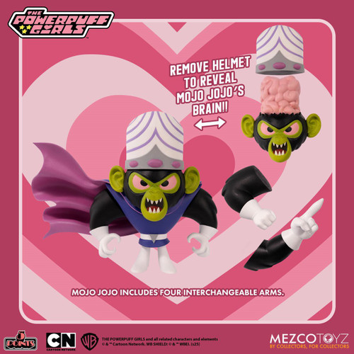 Powerpuff Girls 5 Points Mojojojo Action Figure、ToyWiz、kayou