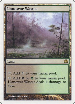 Llanowar Wastes (9ED-322) - 9th Edition、Wizards of the Coast、kayou