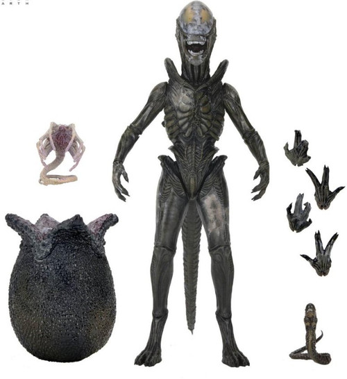 NECA Alien Earth Wendy's Xenomorph Action Figure Ultimate Version (Pre-Order ships February)、ToyWiz、kayou