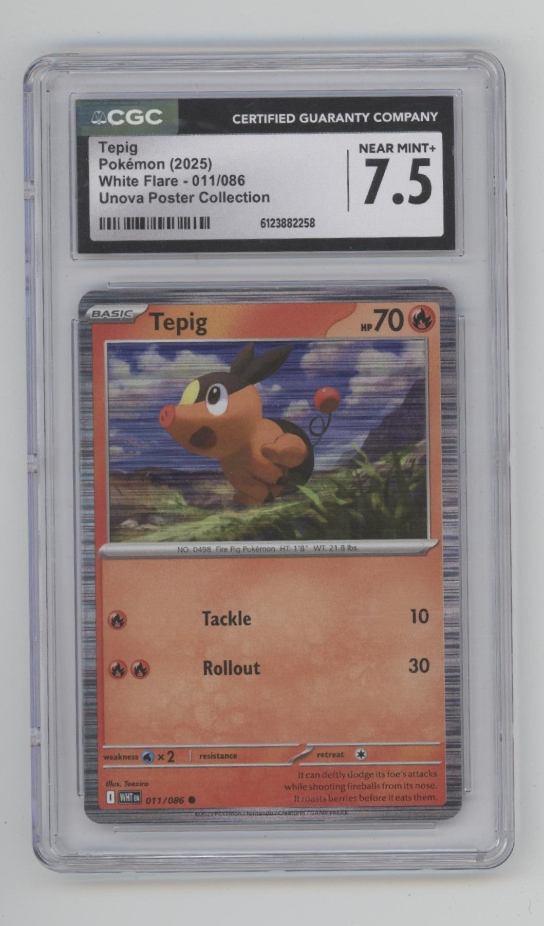 Tepig Pokemon White Flare Unova Poster Collection #011 CGC 7.5、Collector Store LLC Gaming、kayou