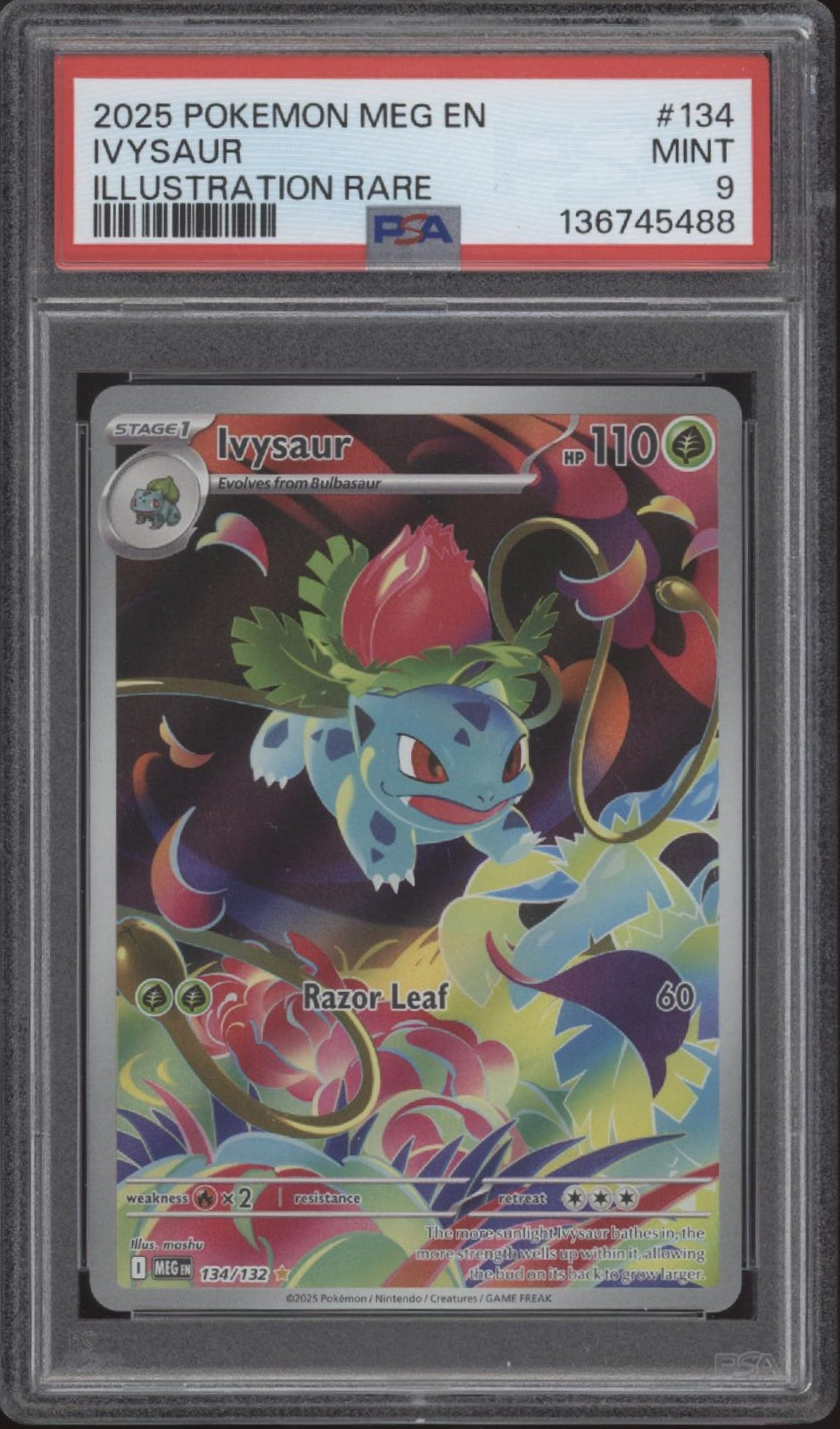 Ivysaur Pokemon Mega Evolutions Illustration Rare #134 PSA 9、Collector Store LLC Gaming、kayou
