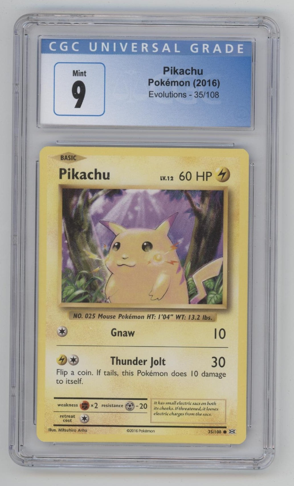 Pikachu Pokemon Evolutions #35 CGC 9、Collector Store LLC Gaming、kayou
