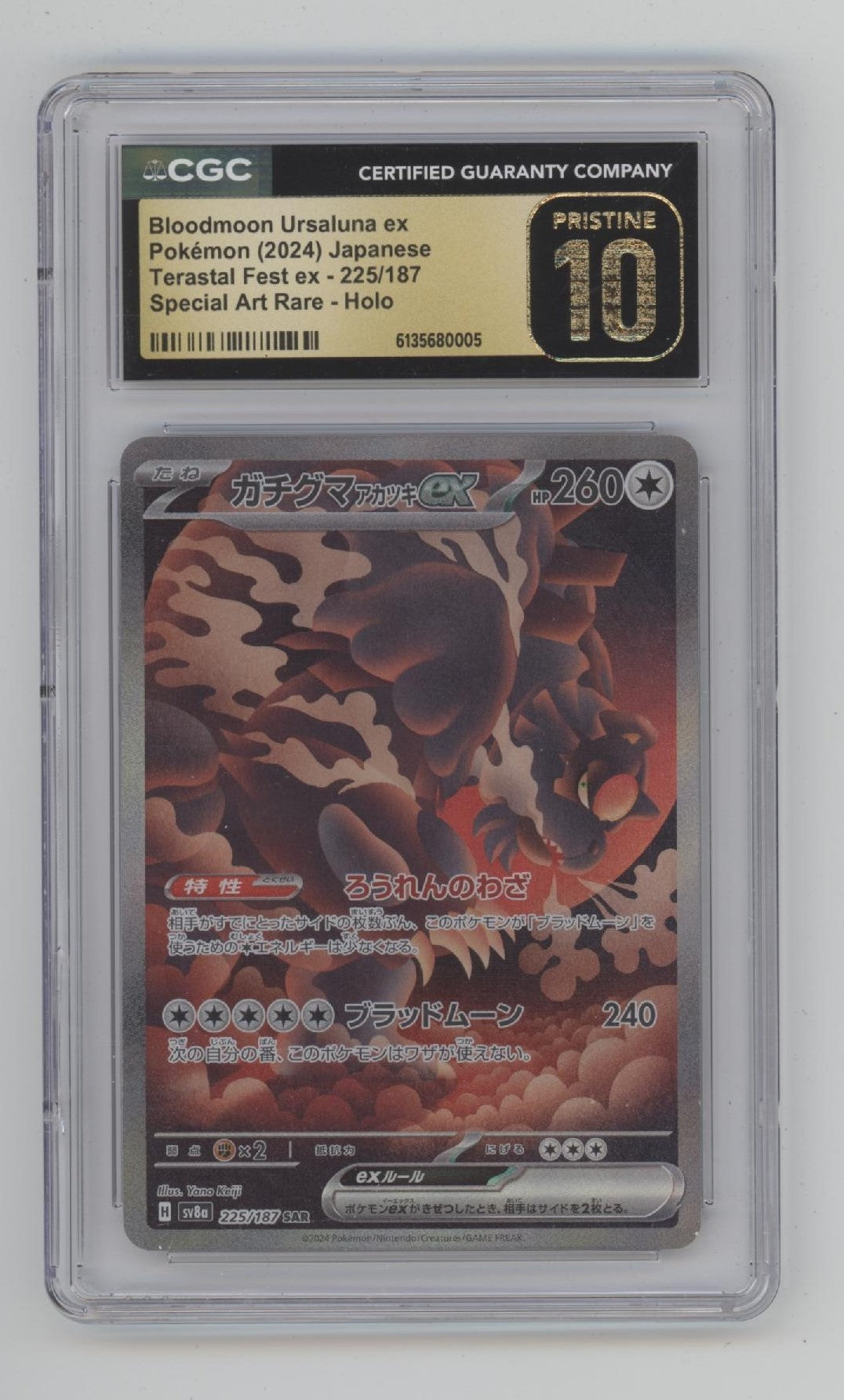 Bloodmoon Ursaluna ex Pokemon Terastal Fest ex Art Rare Holo JP CGC 10 Pristine、Collector Store LLC Gaming、kayou