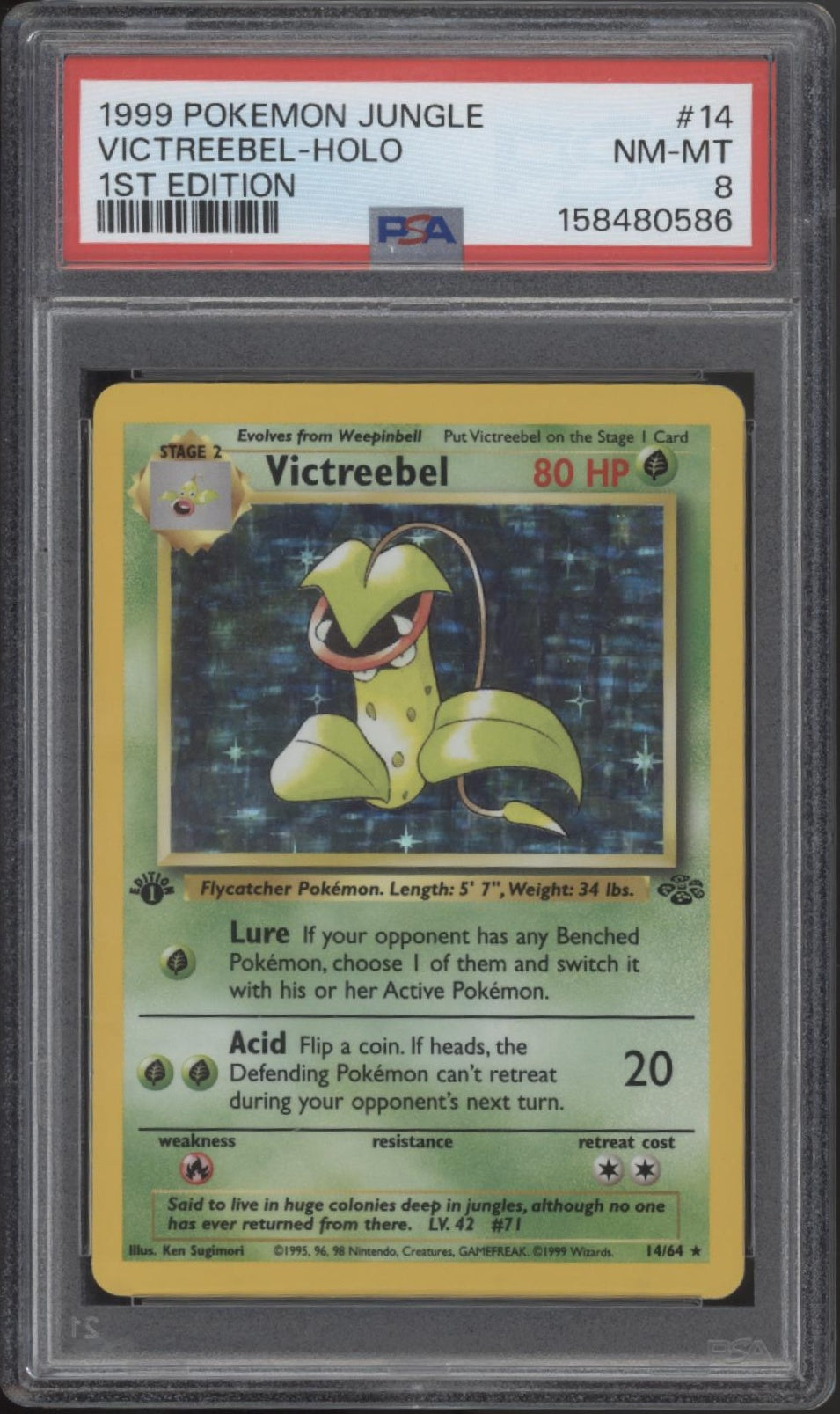 Victreebel Pokemon Jungle Holo 1st Edition #14 PSA 8、Collector Store LLC Gaming、kayou