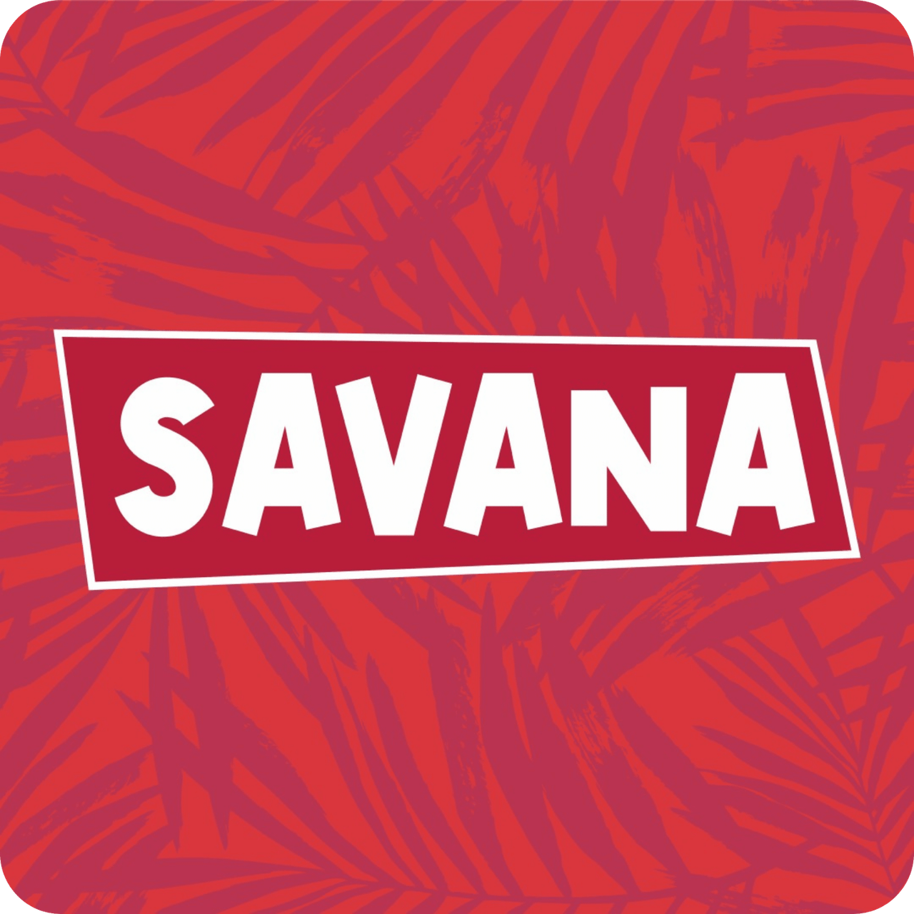 Clued In (PREORDER)、Savana、kayou