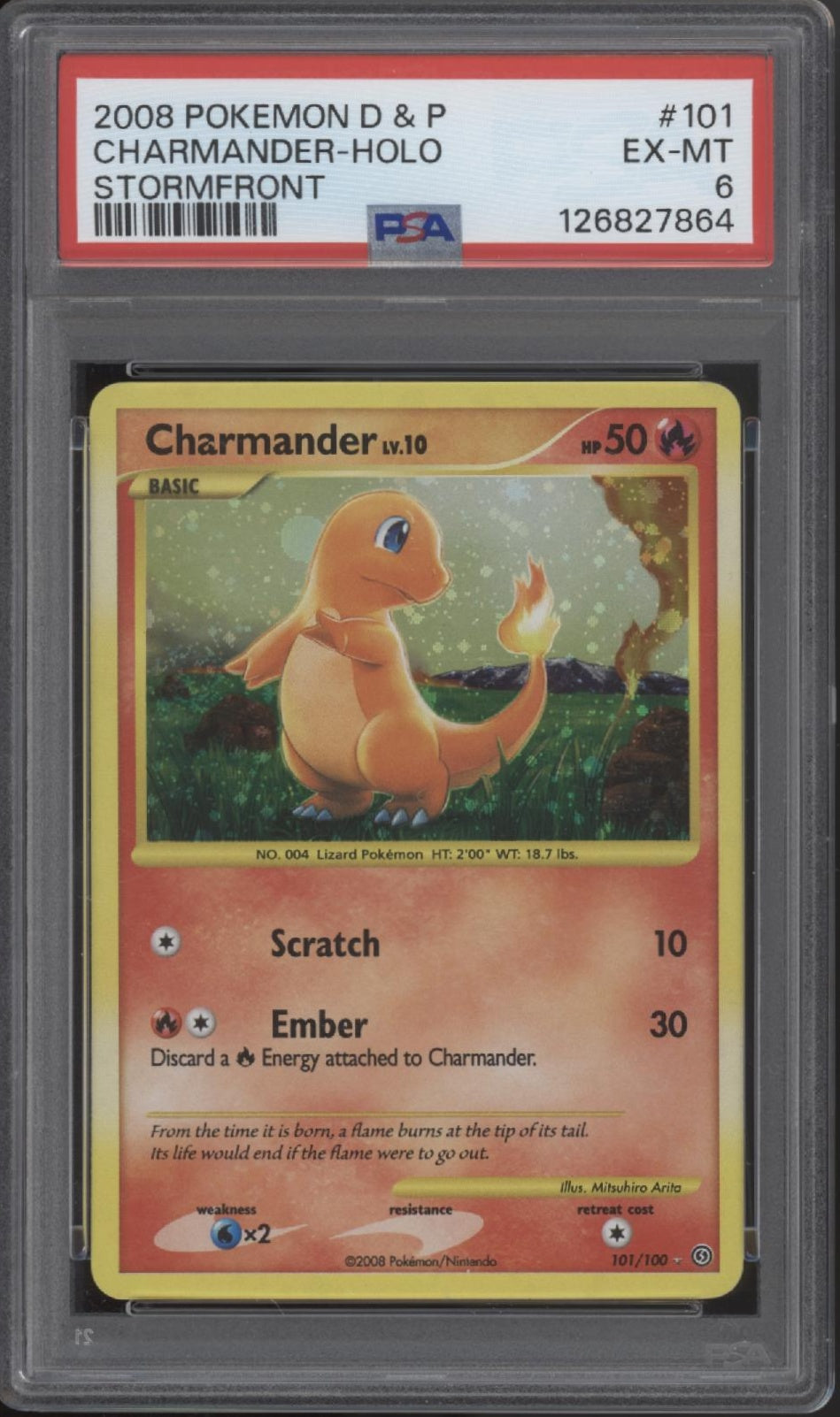 Charmander Pokemon Stormfront Holo #101 PSA 6、Collector Store LLC Gaming、kayou