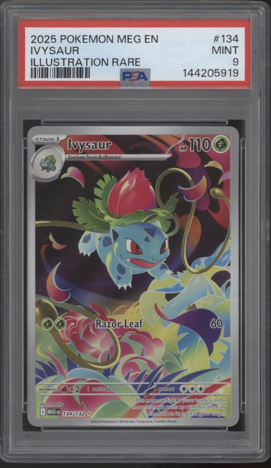 Ivysaur Pokemon Mega Evolution Illustration Rare #134 PSA 9、Collector Store LLC Gaming、kayou