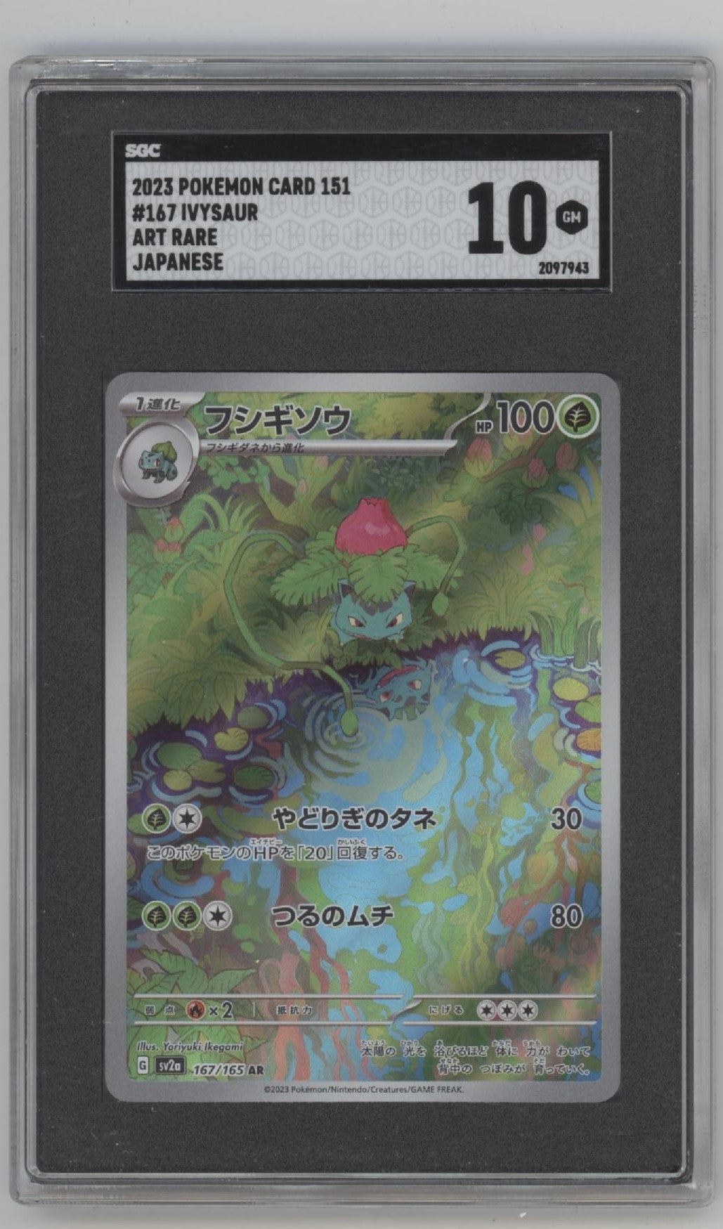 Ivysaur Pokemon 151 Art Rare Japanese #167 SGC 10、Collector Store LLC Gaming、kayou