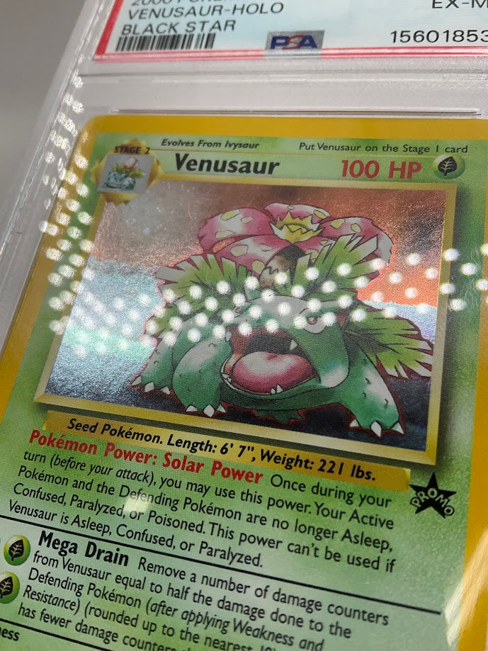 Venusaur Pokemon Black Star Promo Holo #13 PSA 6、Collector Store LLC Gaming、kayou