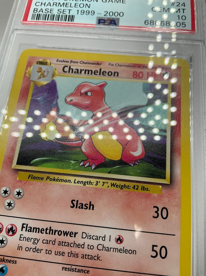 Charmeleon Pokemon Base Set #24 PSA 10、Collector Store LLC Gaming、kayou