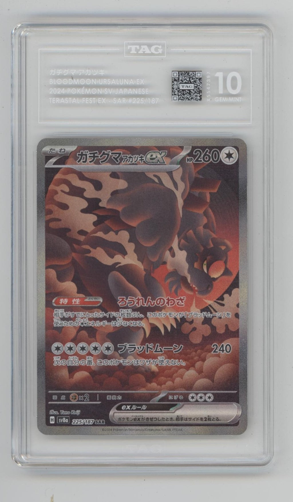 Bloodmoon Ursaluna ex Pokemon Terastal Fest ex Japanese #225 TAG 10、Collector Store LLC Gaming、kayou