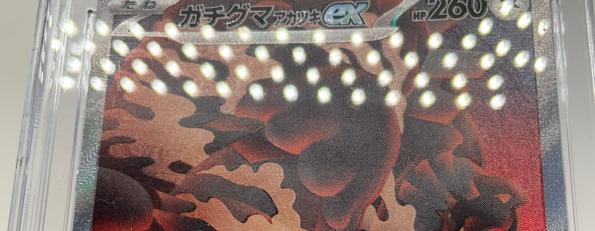 Bloodmoon Ursaluna ex Pokemon Terastal Fest ex Art Rare Holo JP CGC 10 Pristine、Collector Store LLC Gaming、kayou