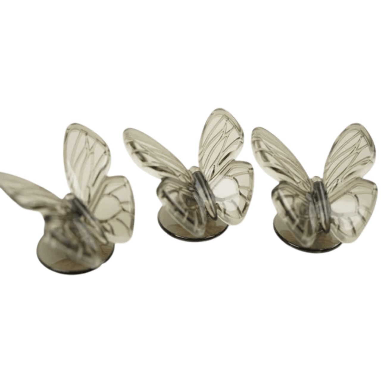 Butterfly Garden: Invasive Butterflies Promo、Capstone Games、kayou