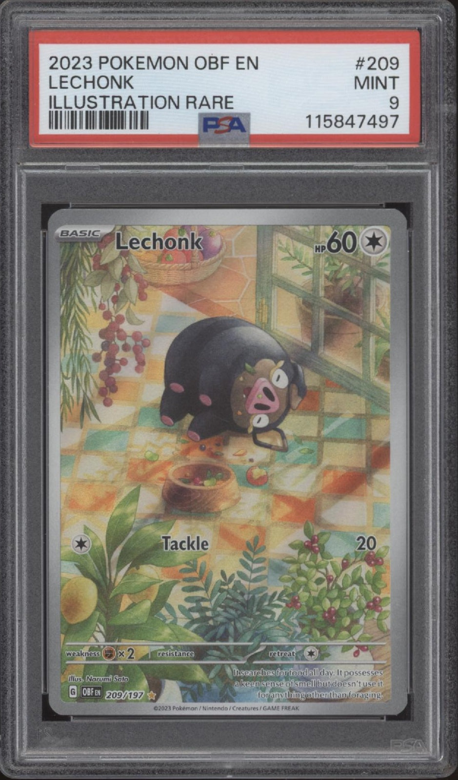 Lechonk Pokemon Obsidian Flames Illustration Rare #209 PSA 9、Collector Store LLC Gaming、kayou