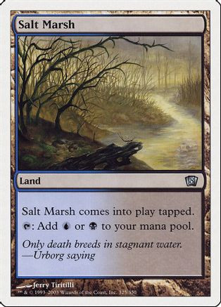Salt Marsh (8ED-325) - 8th Edition Foil、Wizards of the Coast、kayou