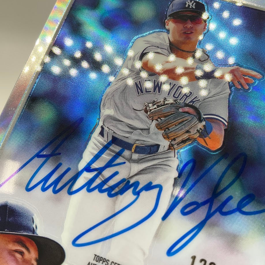 Anthony Volpe 2023 Topps Chrome Refractor RC Auto 126/499 #RA-AV、Collector Store LLC、kayou
