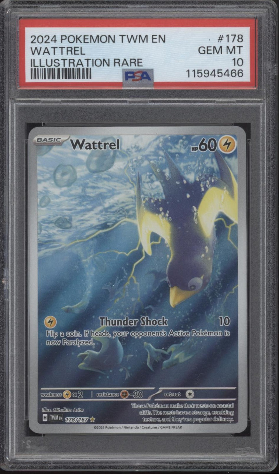 Wattrel Pokemon Twilight Masquerade Illustration Rare #178 PSA 10、Collector Store LLC Gaming、kayou