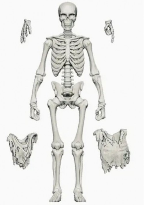 Boss Fight Studios Epic H.A.C.K.S. Skeleton Blank Action Figure Bone White、ToyWiz、kayou