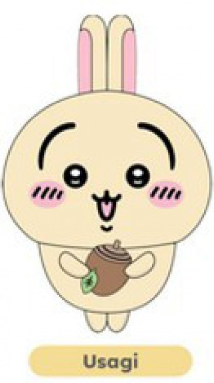 Chiikawa Usagi 8-Inch Plush (Pre-Order ships October)、ToyWiz、kayou