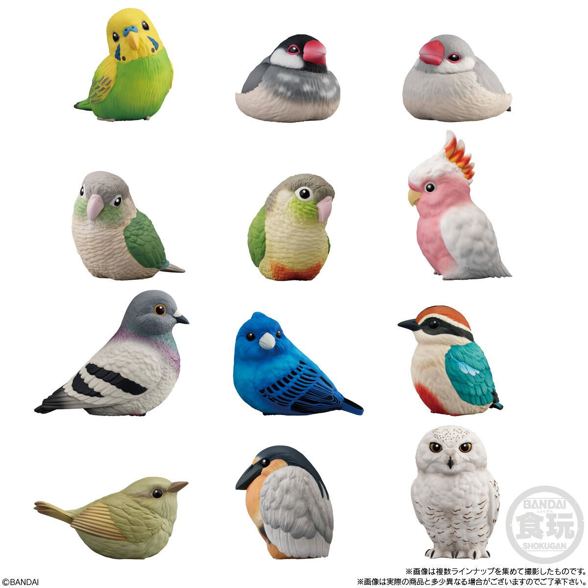 Shokugan Tenori Friends 10 - Birds Box of 12 Figures (Pre-Order ships October)、ToyWiz、kayou