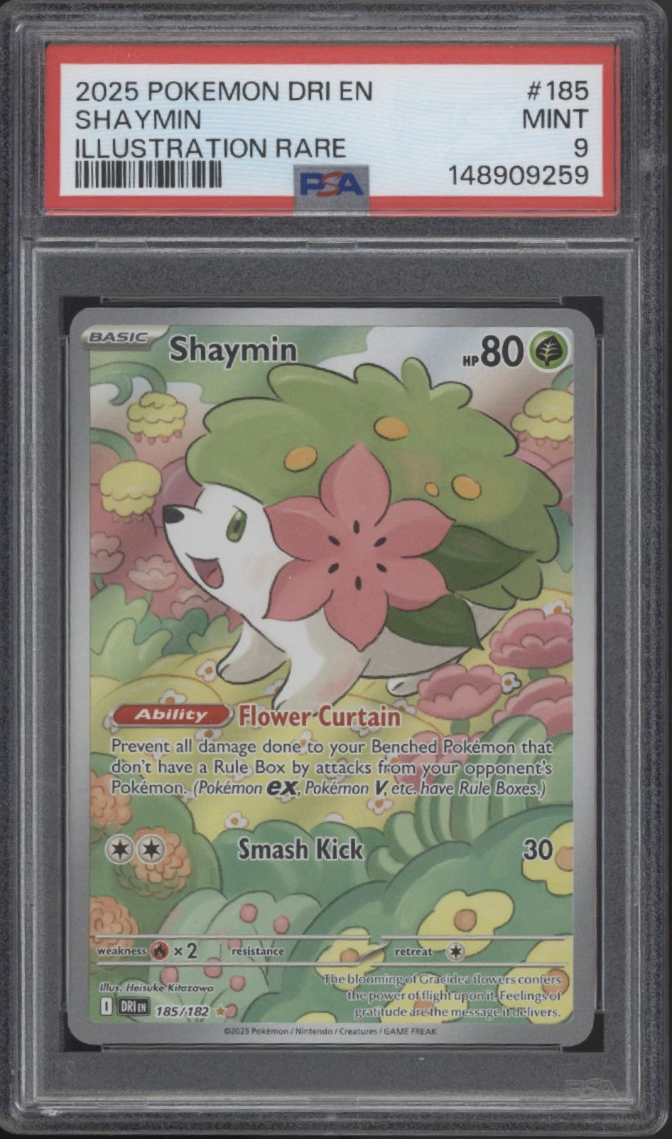 Shaymin Pokemon Destined Rivals Illustration Rare #185 PSA 9、Collector Store LLC Gaming、kayou