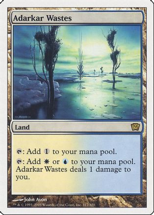 Adarkar Wastes (9ED-317) - 9th Edition Foil、Wizards of the Coast、kayou