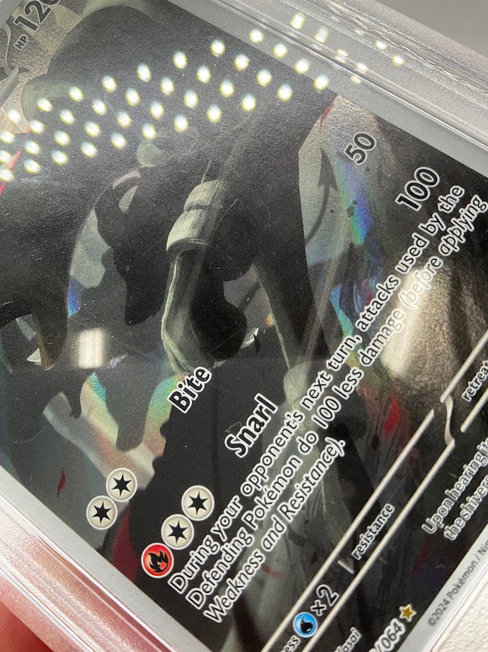 Houndoom Pokemon Shrouded Fable Illustration Rare #066 PSA 9 #1、Collector Store LLC Gaming、kayou