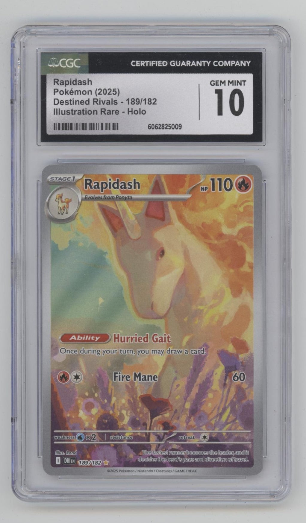 Rapidash Pokemon Destined Rivals Illustration Rare Holo #189 CGC 10、Collector Store LLC Gaming、kayou