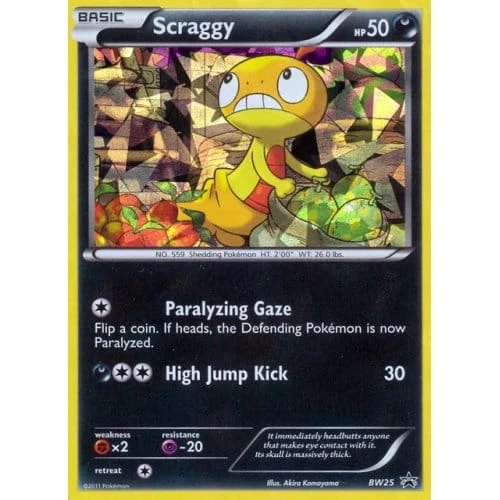 Black & White Promo BW25 Scraggy (Shatter Holo)、Pokemon、kayou