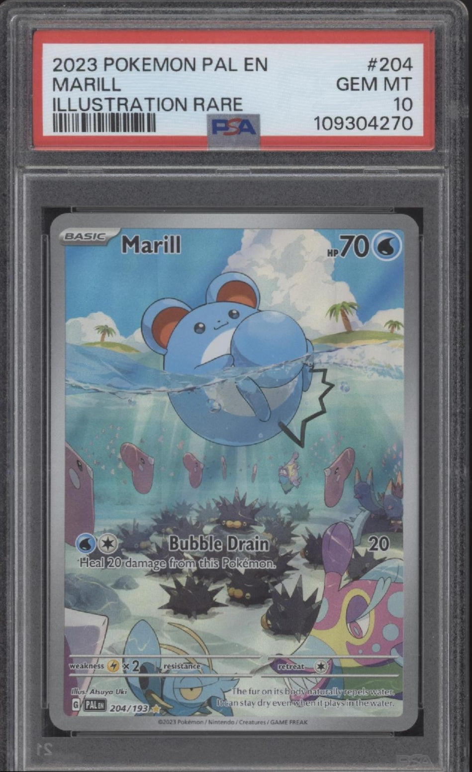 Marill Pokemon Paldea Evolved Illustration Rare #204 PSA 10、Collector Store LLC Gaming、kayou