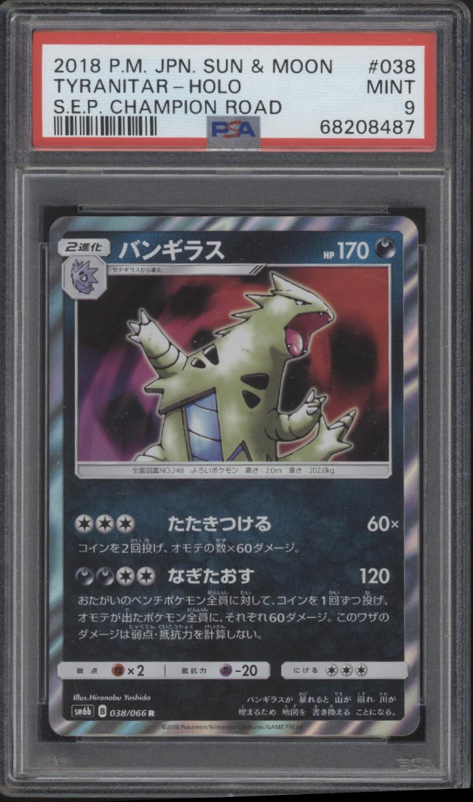 Tyranitar Pokemon SEP Champion Road Holo Japanese #038 PSA 9、Collector Store LLC Gaming、kayou