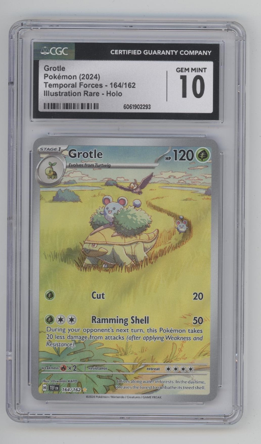 Grotle Pokemon Temporal Forces Illustration Rare Holo #164 CGC 10、Collector Store LLC Gaming、kayou