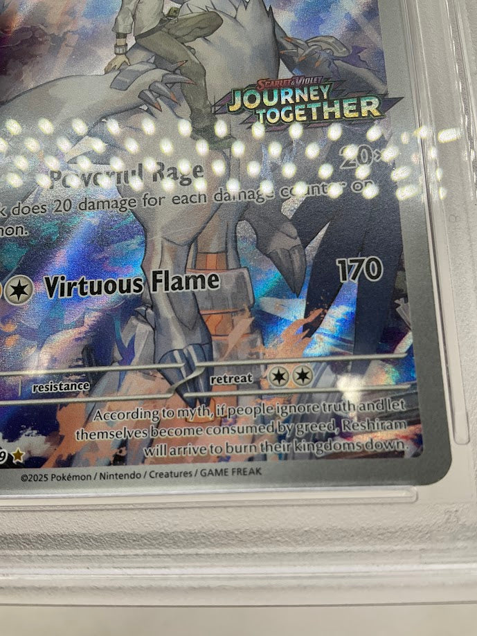 N's Reshiram Pokemon Journey Together Enhanced Topper #167 PSA 9、Collector Store LLC Gaming、kayou