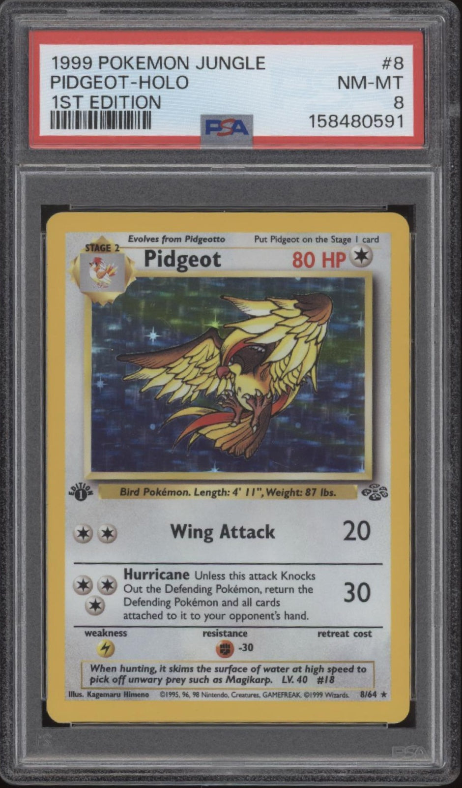 Pidgeot Pokemon Jungle Holo 1st Edition #8 PSA 8、Collector Store LLC Gaming、kayou