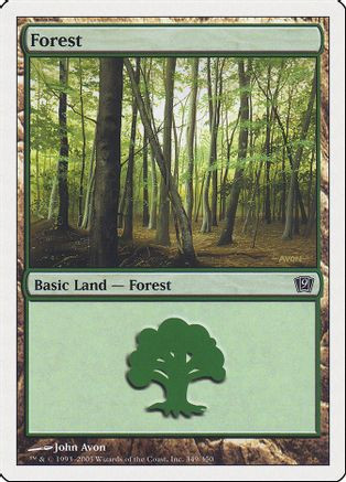 Forest (349) (9ED-349) - 9th Edition、Wizards of the Coast、kayou