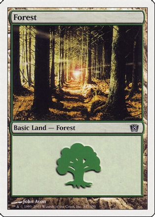 Forest (347) (8ED-347) - 8th Edition、Wizards of the Coast、kayou