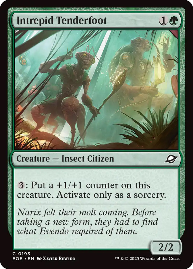 Intrepid Tenderfoot、Magic: The Gathering、kayou