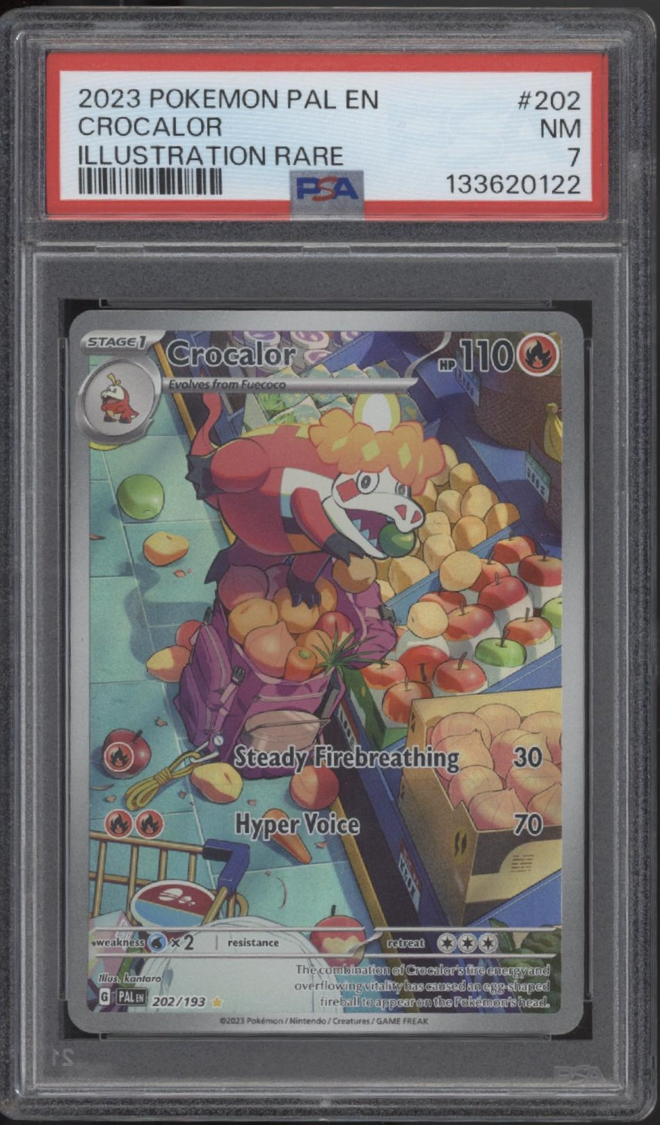 Crocalor Pokemon Paldean Fates Illustration Rare #202 PSA 7、Collector Store LLC Gaming、kayou